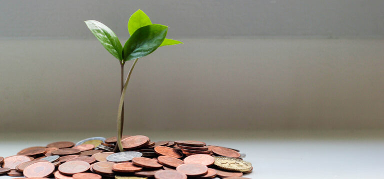 saving money. Photo of a pile of coins with a plant growing out of it