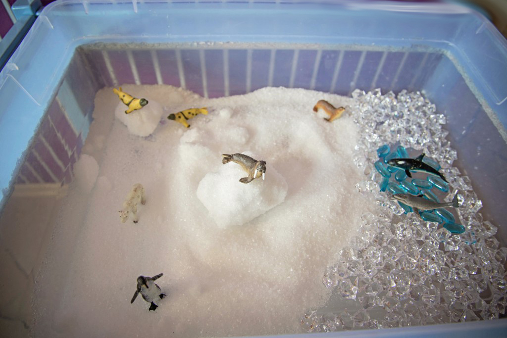 Arctic Sensory Bin