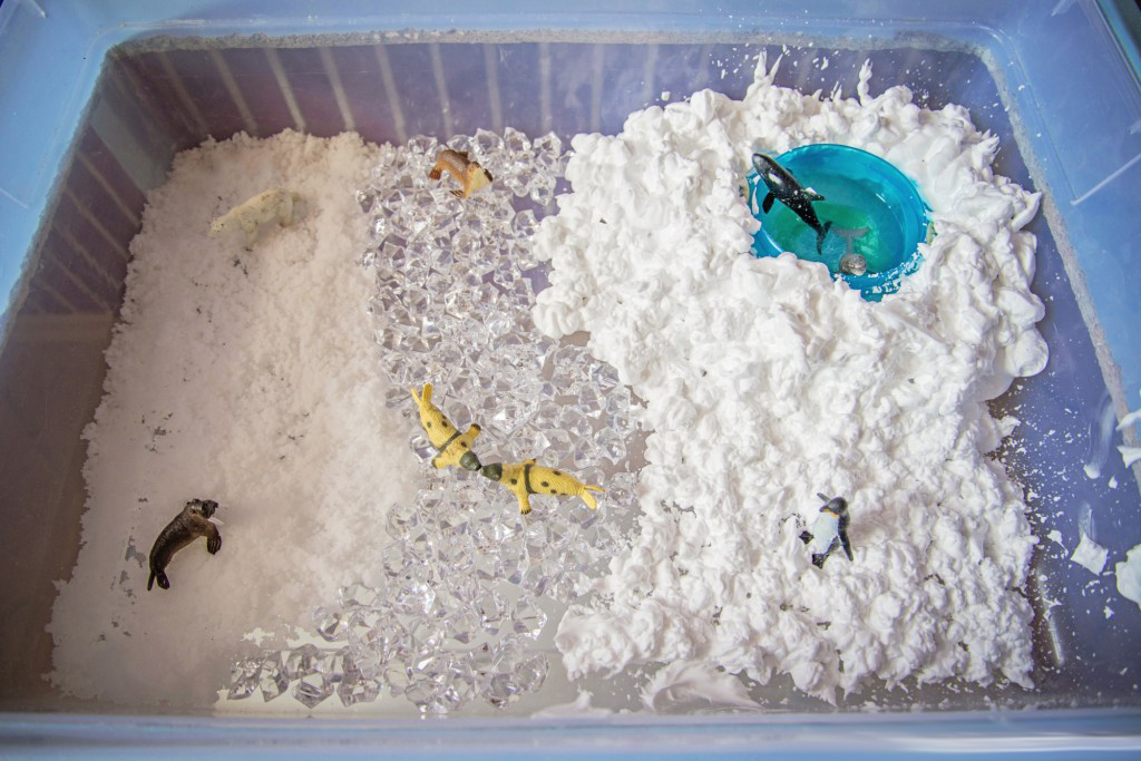 Arctic Sensory Bin